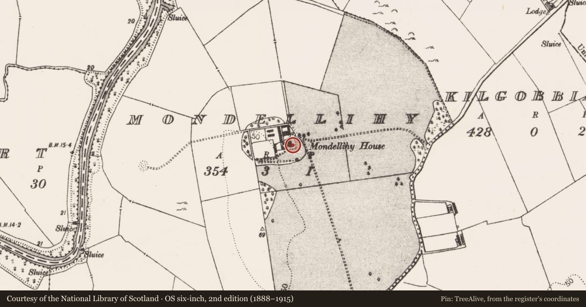 Ordnance Survey six-inch map, 2nd edition (1888–1915) covering the location of Country house, Mondellihy, County Limerick, with a pin at the register's coordinates