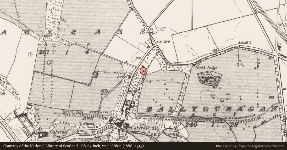 Ordnance Survey six-inch map, 2nd edition (1888–1915) covering the location of Mill - unclassified, Caherass, County Limerick, with a pin at the register's coordinates