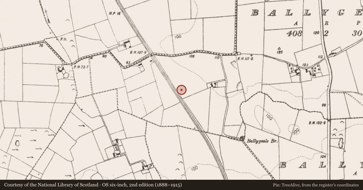 Ordnance Survey six-inch map, 2nd edition (1888–1915) covering the location of Ringfort - unclassified, Ballygeale, County Limerick, with a pin at the register's coordinates