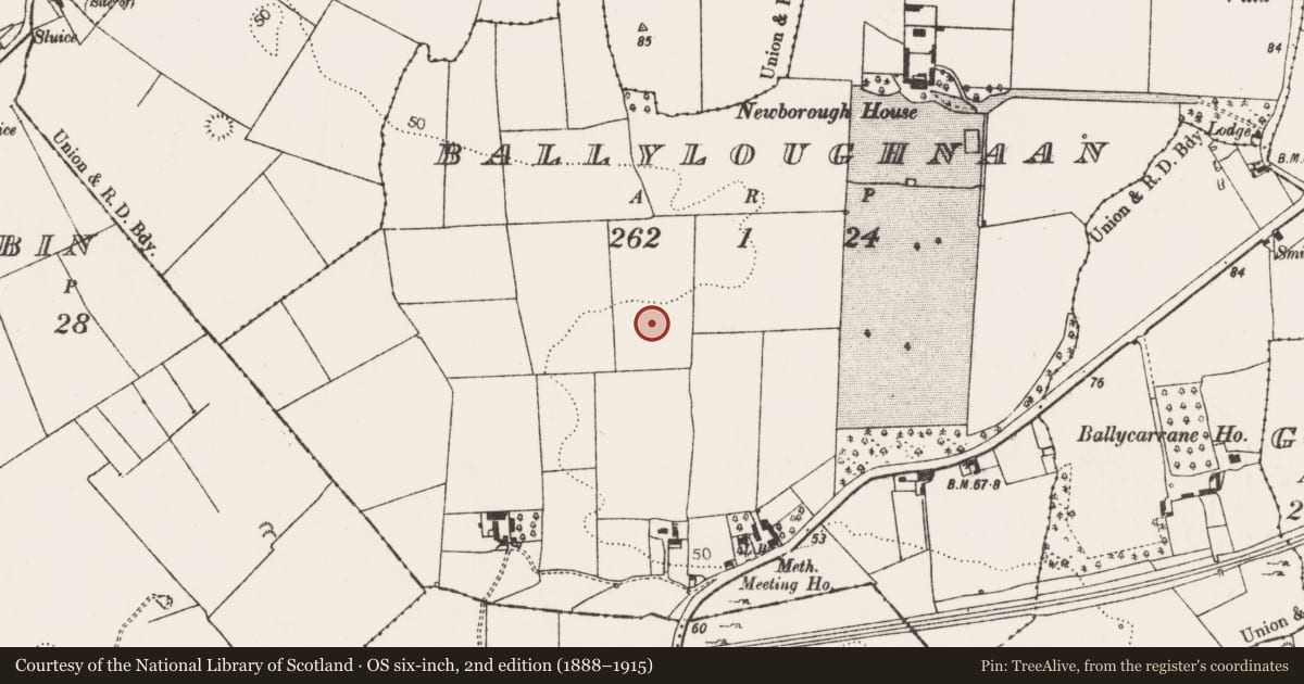 Ordnance Survey six-inch map, 2nd edition (1888–1915) covering the location of Ringfort - unclassified, Ballyloughnaan, County Limerick, with a pin at the register's coordinates