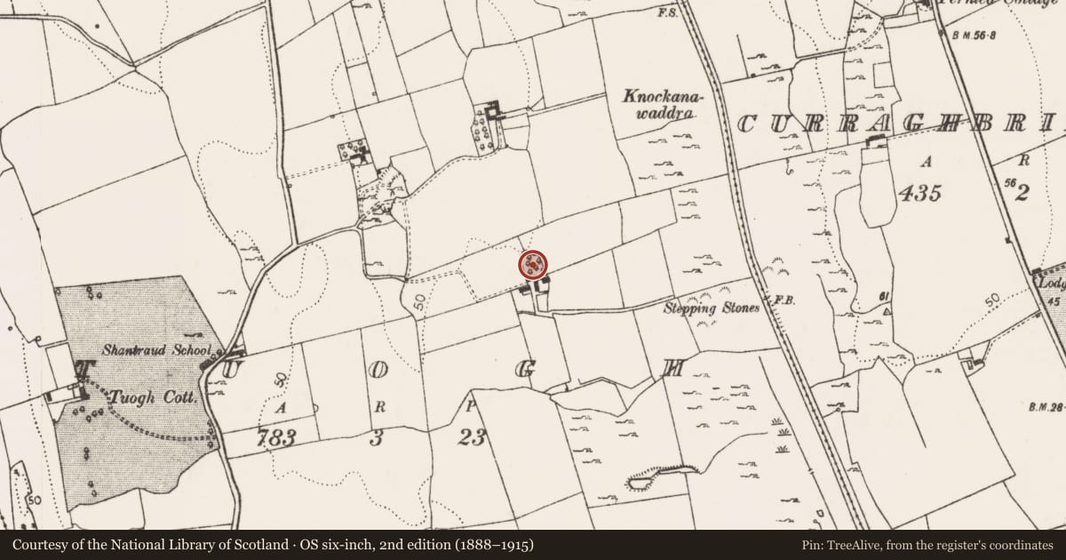 Ordnance Survey six-inch map, 2nd edition (1888–1915) covering the location of Ringfort - cashel, Tuogh, County Limerick, with a pin at the register's coordinates