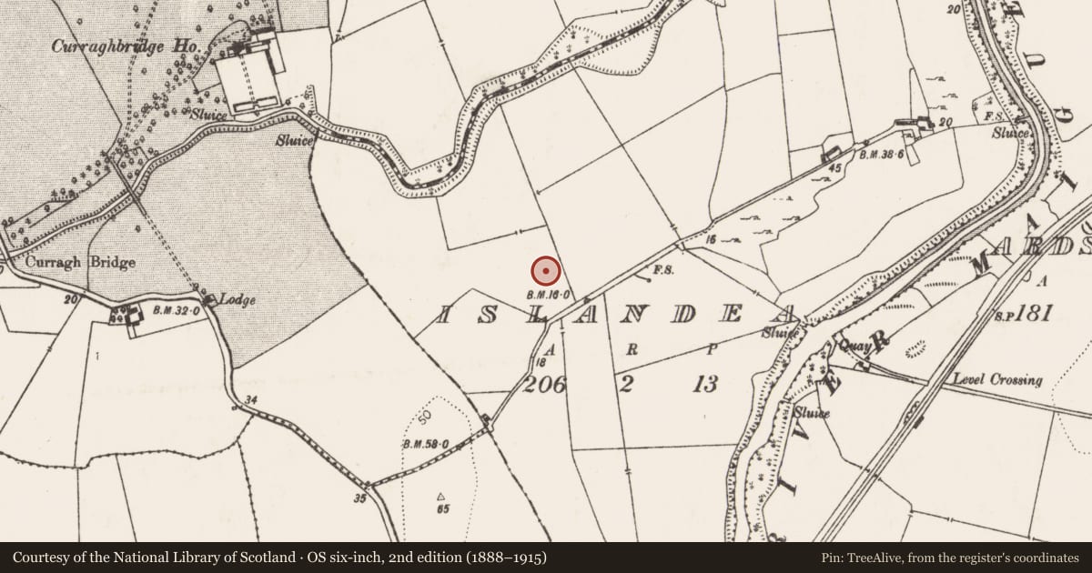 Ordnance Survey six-inch map, 2nd edition (1888–1915) covering the location of Ringfort - unclassified, Islandea, County Limerick, with a pin at the register's coordinates