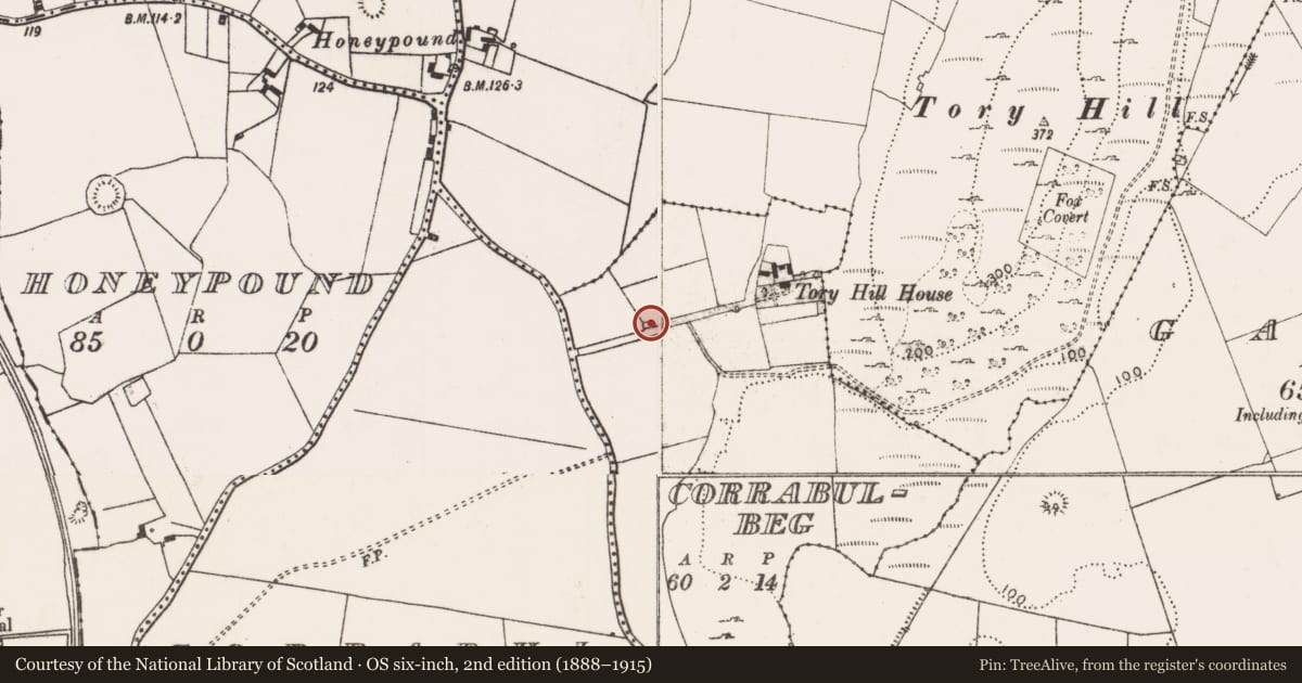 Ordnance Survey six-inch map, 2nd edition (1888–1915) covering the location of Church, Corrabulbeg, County Limerick, with a pin at the register's coordinates