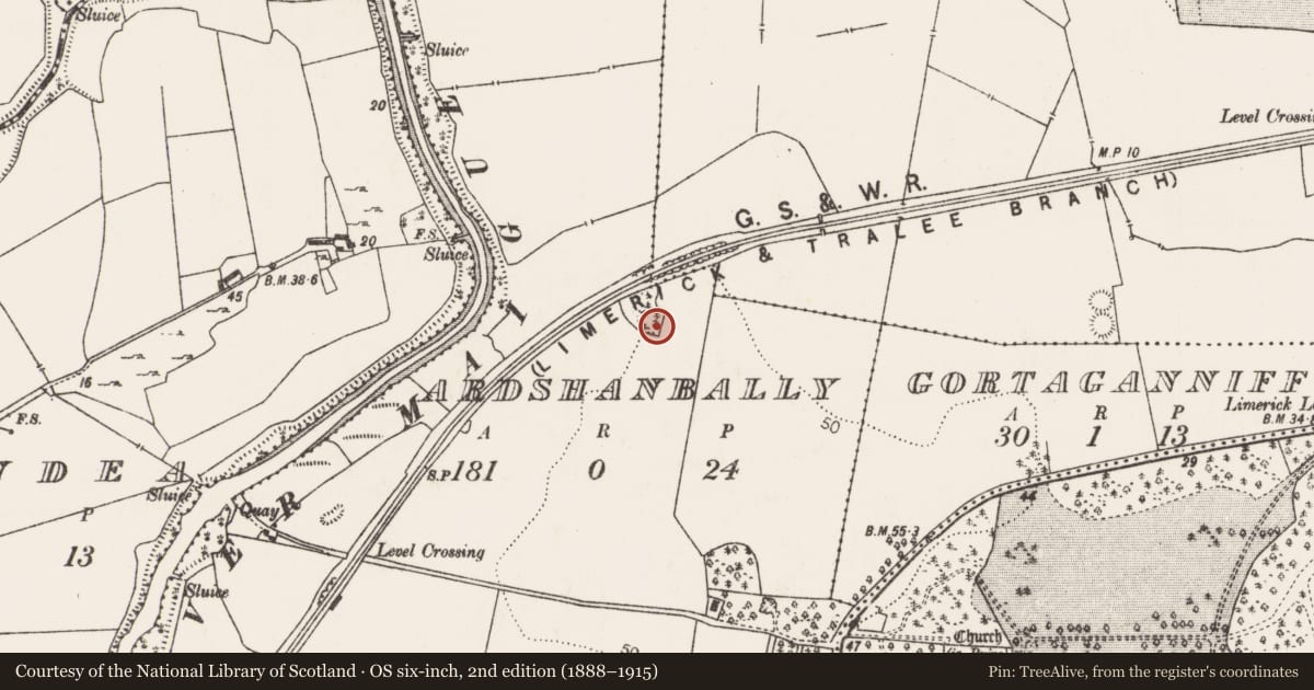 Ordnance Survey six-inch map, 2nd edition (1888–1915) covering the location of Enclosure, Ardshanbally, County Limerick, with a pin at the register's coordinates