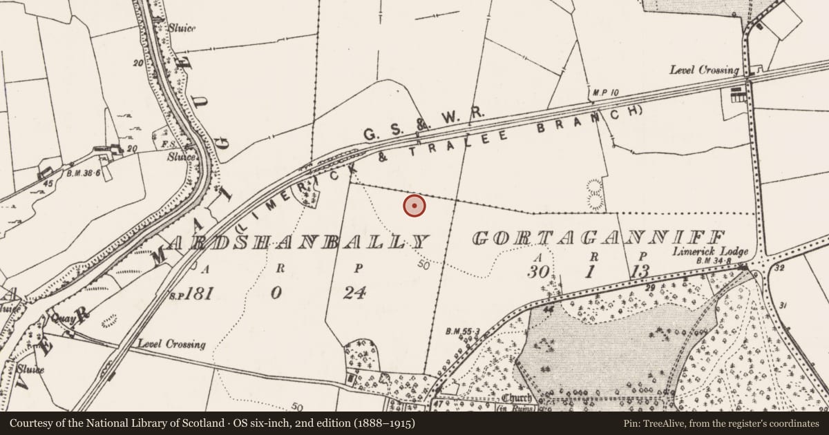 Ordnance Survey six-inch map, 2nd edition (1888–1915) covering the location of Enclosure, Ardshanbally, County Limerick, with a pin at the register's coordinates