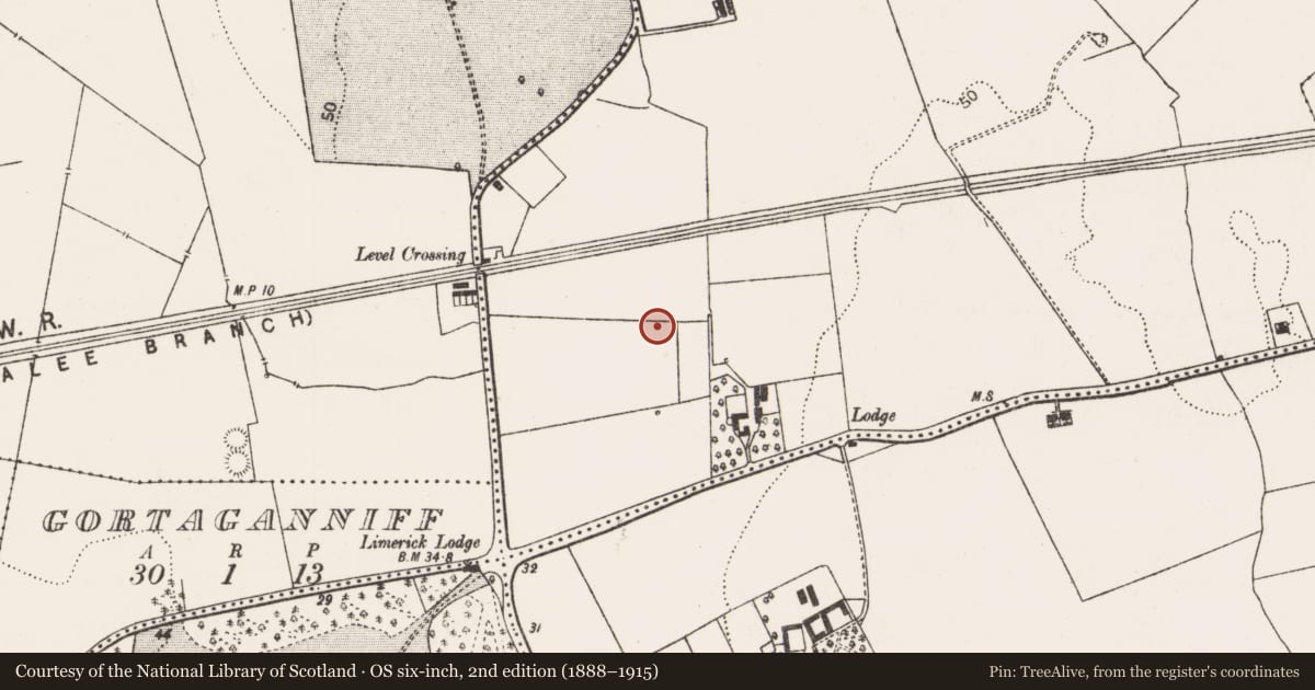 Ordnance Survey six-inch map, 2nd edition (1888–1915) covering the location of Enclosure, Kilgobbin, County Limerick, with a pin at the register's coordinates