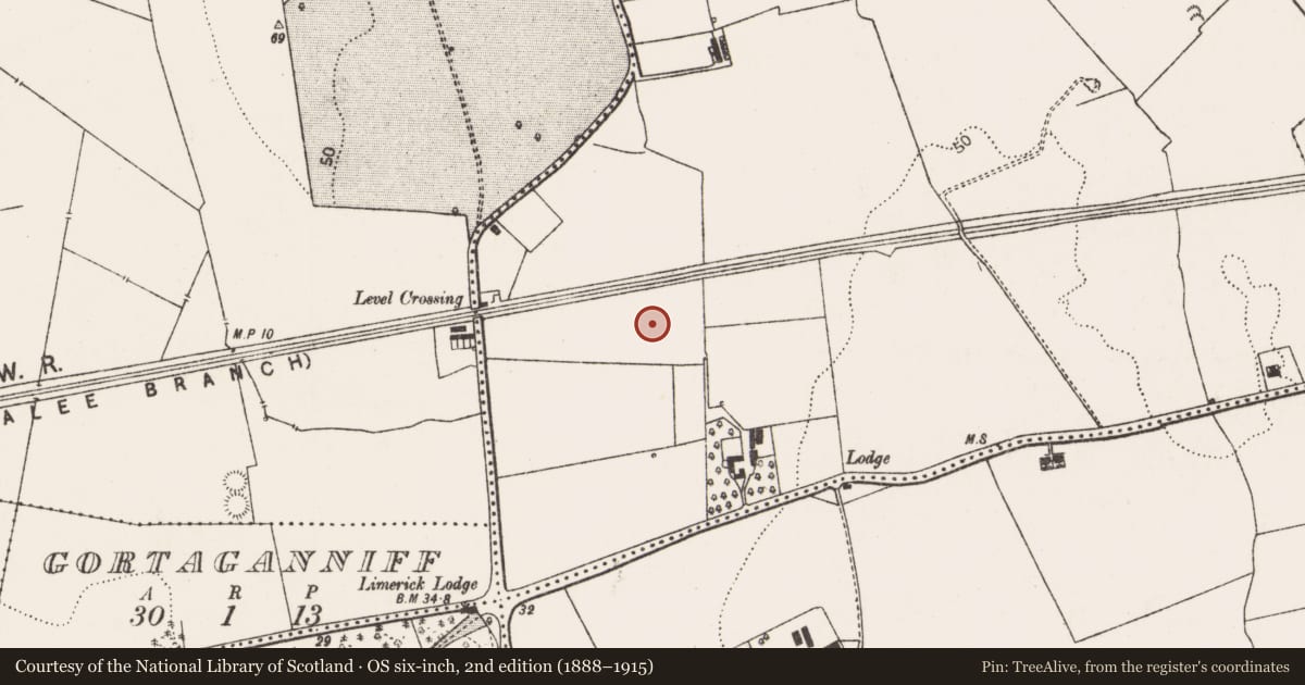 Ordnance Survey six-inch map, 2nd edition (1888–1915) covering the location of Enclosure, Kilgobbin, County Limerick, with a pin at the register's coordinates