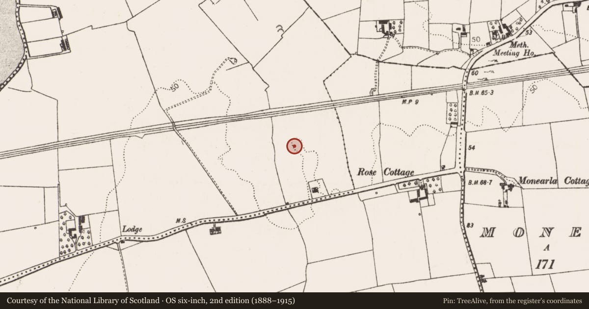 Ordnance Survey six-inch map, 2nd edition (1888–1915) covering the location of Enclosure, Kilgobbin, County Limerick, with a pin at the register's coordinates
