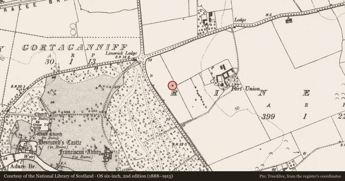 Ordnance Survey six-inch map, 2nd edition (1888–1915) covering the location of Enclosure, Rineroe, County Limerick, with a pin at the register's coordinates