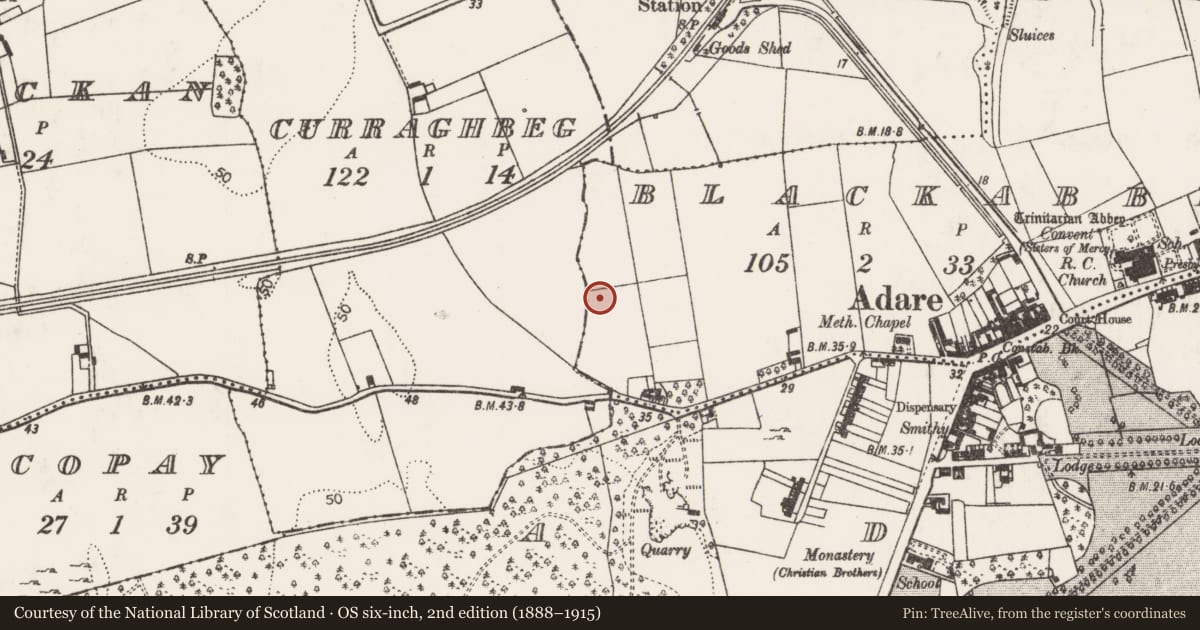 Ordnance Survey six-inch map, 2nd edition (1888–1915) covering the location of Enclosure, Blackabbey, County Limerick, with a pin at the register's coordinates