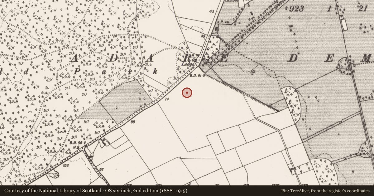 Ordnance Survey six-inch map, 2nd edition (1888–1915) covering the location of Enclosure, Graigue, County Limerick, with a pin at the register's coordinates