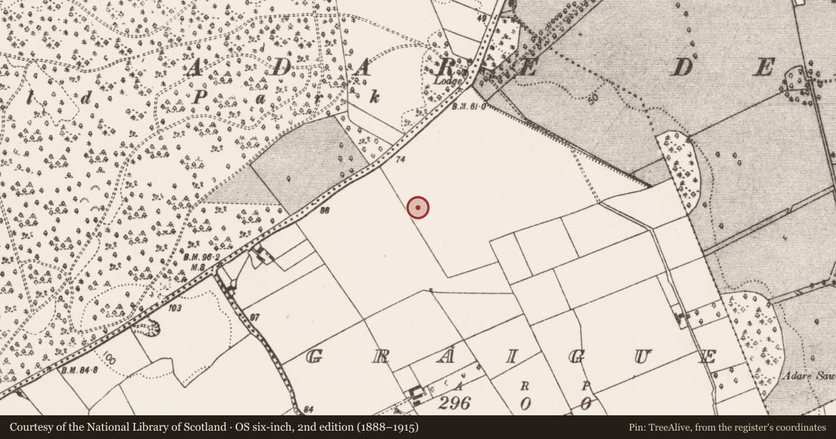 Ordnance Survey six-inch map, 2nd edition (1888–1915) covering the location of Enclosure, Graigue, County Limerick, with a pin at the register's coordinates