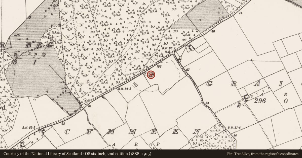 Ordnance Survey six-inch map, 2nd edition (1888–1915) covering the location of Quarry, Cummeen, County Limerick, with a pin at the register's coordinates