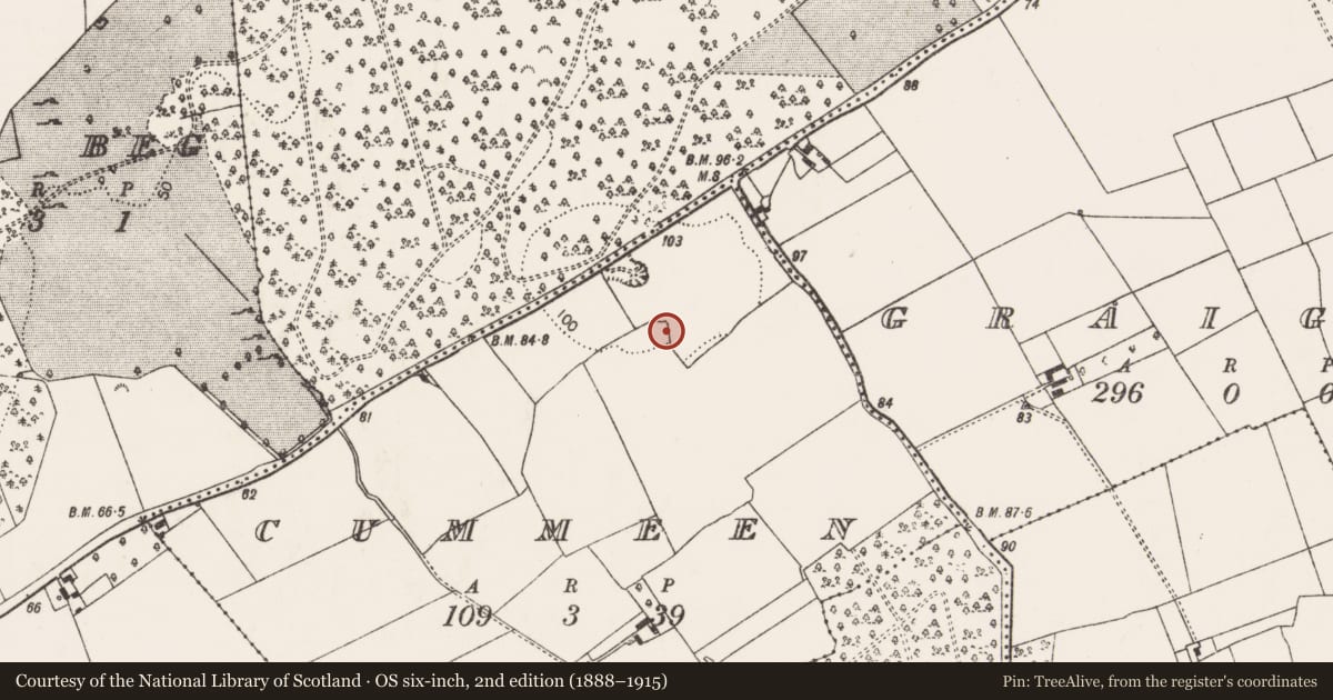 Ordnance Survey six-inch map, 2nd edition (1888–1915) covering the location of Enclosure, Cummeen, County Limerick, with a pin at the register's coordinates