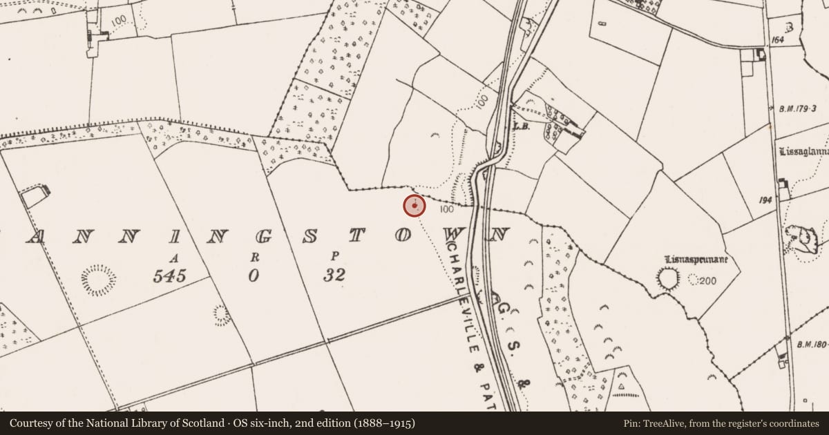 Ordnance Survey six-inch map, 2nd edition (1888–1915) covering the location of Enclosure, Fanningstown, County Limerick, with a pin at the register's coordinates