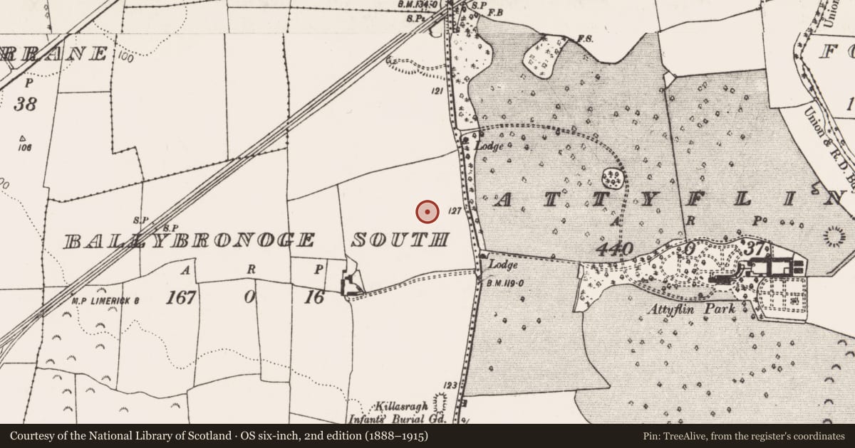 Ordnance Survey six-inch map, 2nd edition (1888–1915) covering the location of Ring-ditch, Ballybronoge South, County Limerick, with a pin at the register's coordinates