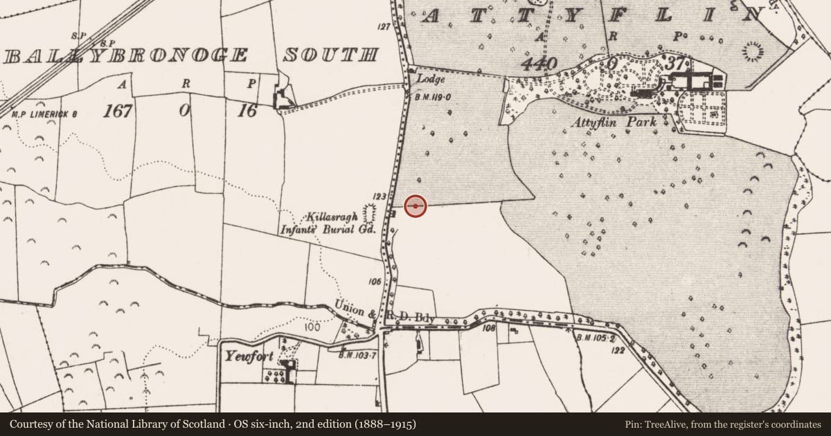 Ordnance Survey six-inch map, 2nd edition (1888–1915) covering the location of Moated site, Attyflin, County Limerick, with a pin at the register's coordinates