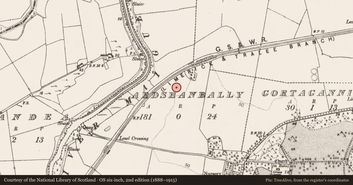 Ordnance Survey six-inch map, 2nd edition (1888–1915) covering the location of Fulacht fia, Ardshanbally, County Limerick, with a pin at the register's coordinates