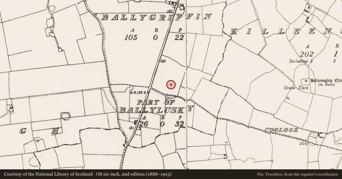 Ordnance Survey six-inch map, 2nd edition (1888–1915) covering the location of Fulacht fia, Ballygriffin, County Limerick, with a pin at the register's coordinates