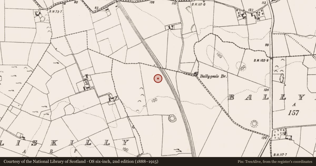 Ordnance Survey six-inch map, 2nd edition (1888–1915) covering the location of Burnt spread, Garranroe, County Limerick, with a pin at the register's coordinates