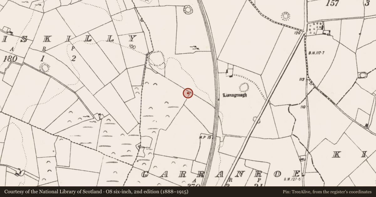 Ordnance Survey six-inch map, 2nd edition (1888–1915) covering the location of Burnt spread, Garranroe, County Limerick, with a pin at the register's coordinates