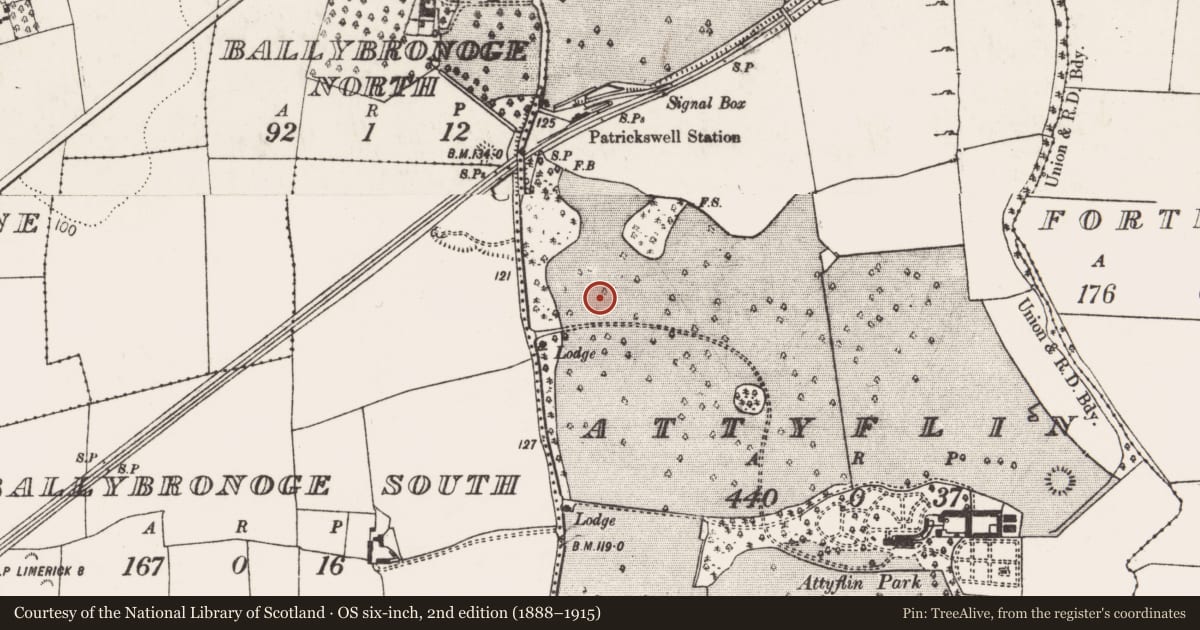 Ordnance Survey six-inch map, 2nd edition (1888–1915) covering the location of Fulacht fia, Attyflin, County Limerick, with a pin at the register's coordinates