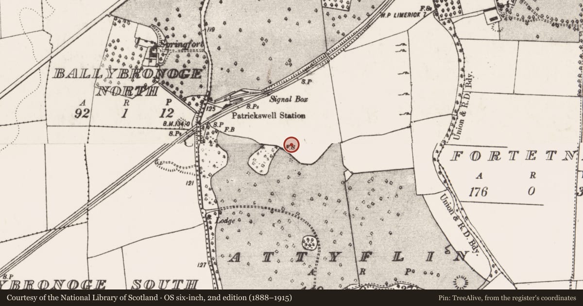 Ordnance Survey six-inch map, 2nd edition (1888–1915) covering the location of Fulacht fia, Attyflin, County Limerick, with a pin at the register's coordinates