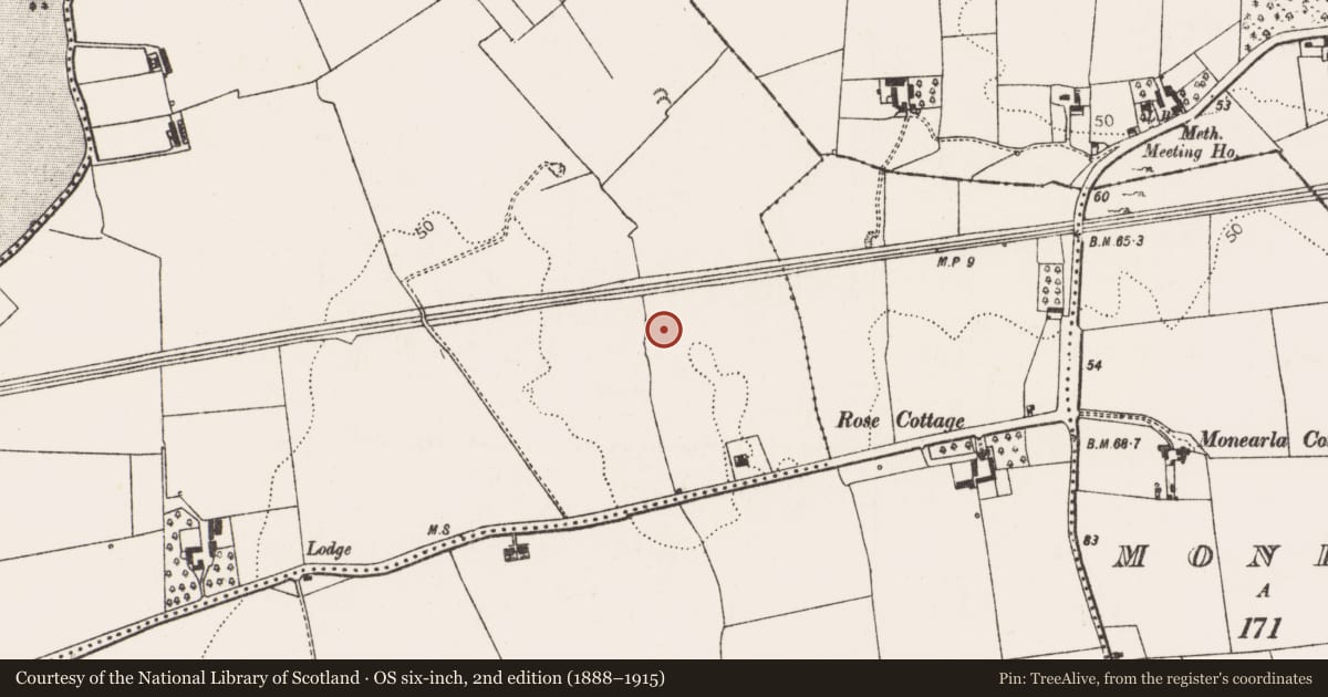 Ordnance Survey six-inch map, 2nd edition (1888–1915) covering the location of Pit, Kilgobbin, County Limerick, with a pin at the register's coordinates