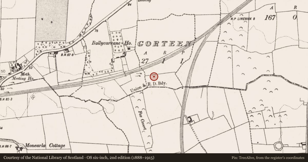 Ordnance Survey six-inch map, 2nd edition (1888–1915) covering the location of Kiln - corn-drying, Gorteen, County Limerick, with a pin at the register's coordinates