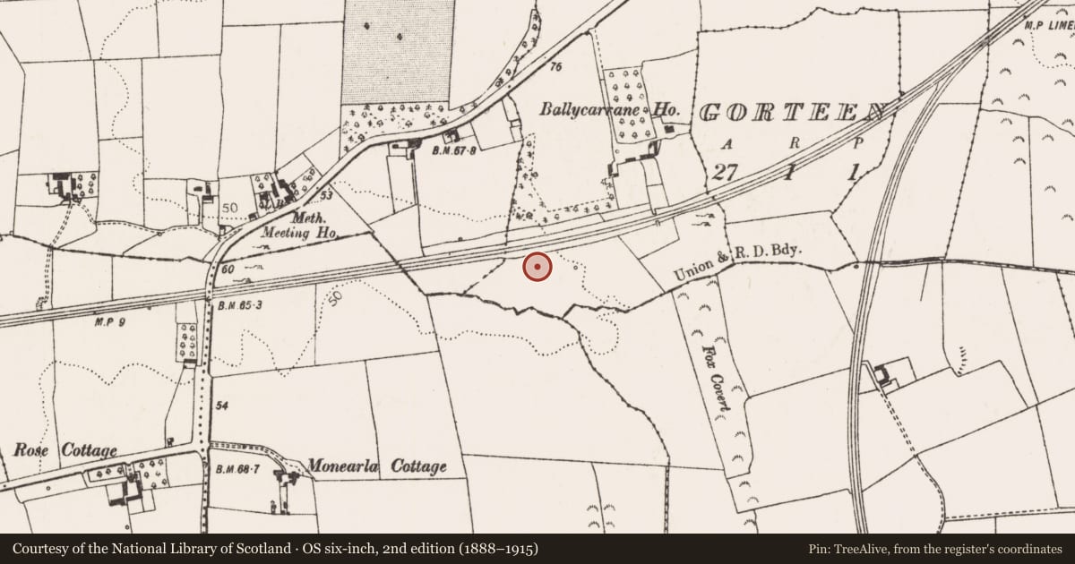 Ordnance Survey six-inch map, 2nd edition (1888–1915) covering the location of Fulacht fia, Ballycarrane, County Limerick, with a pin at the register's coordinates