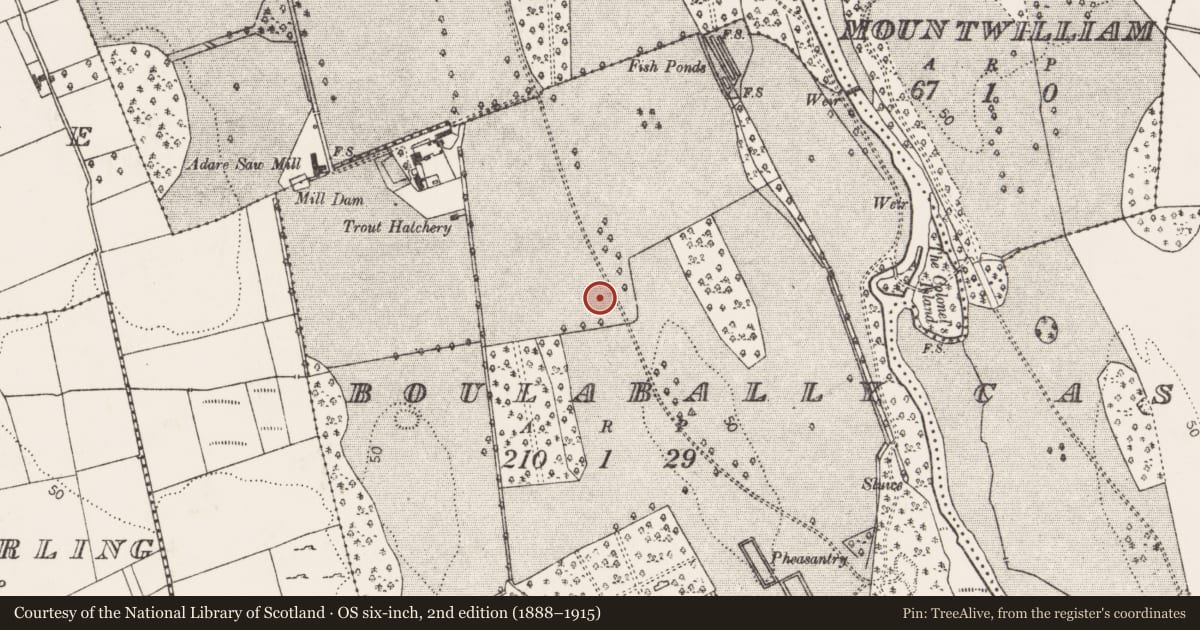 Ordnance Survey six-inch map, 2nd edition (1888–1915) covering the location of Cremation pit, Boulabally, County Limerick, with a pin at the register's coordinates