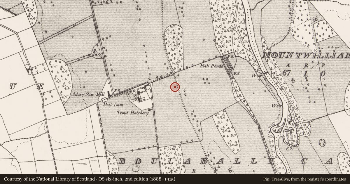 Ordnance Survey six-inch map, 2nd edition (1888–1915) covering the location of Burial, Boulabally, County Limerick, with a pin at the register's coordinates