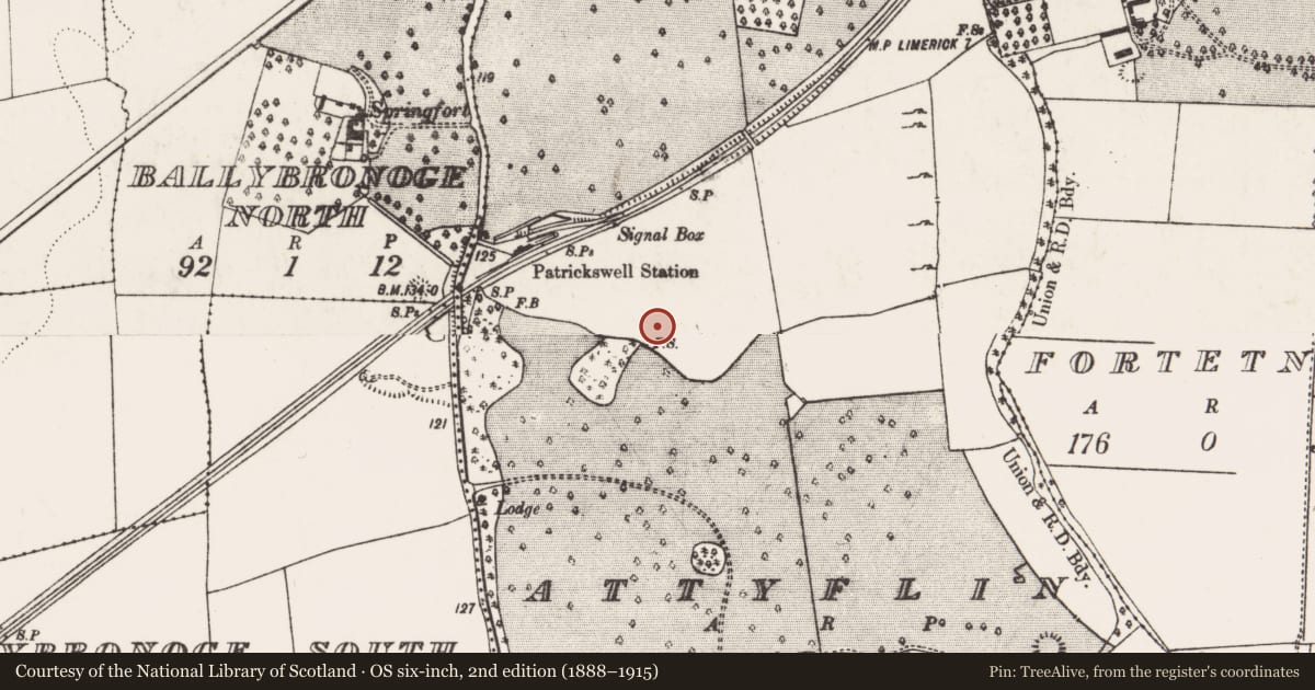 Ordnance Survey six-inch map, 2nd edition (1888–1915) covering the location of Fulacht fia, Attyflin, County Limerick, with a pin at the register's coordinates