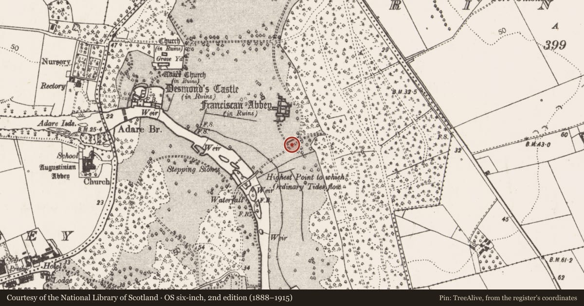 Ordnance Survey six-inch map, 2nd edition (1888–1915) covering the location of Armorial plaque, Adare, County Limerick, with a pin at the register's coordinates