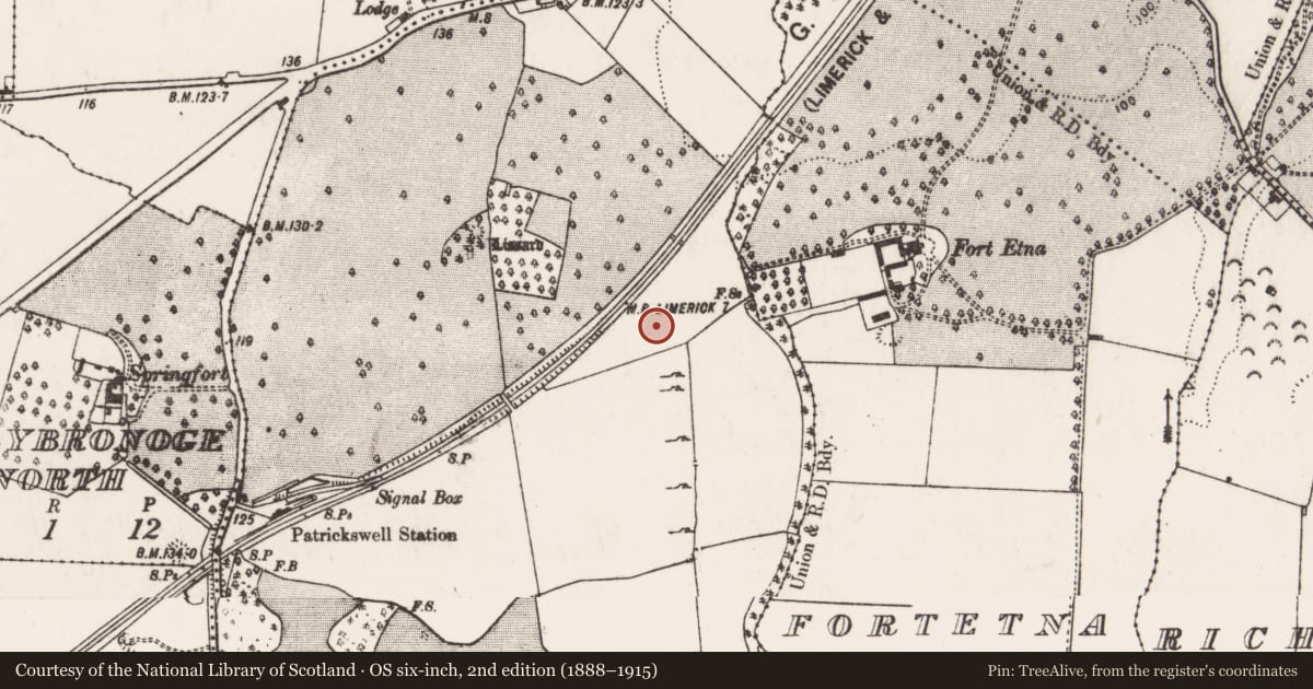 Ordnance Survey six-inch map, 2nd edition (1888–1915) covering the location of Fulacht fia, Attyflin, County Limerick, with a pin at the register's coordinates