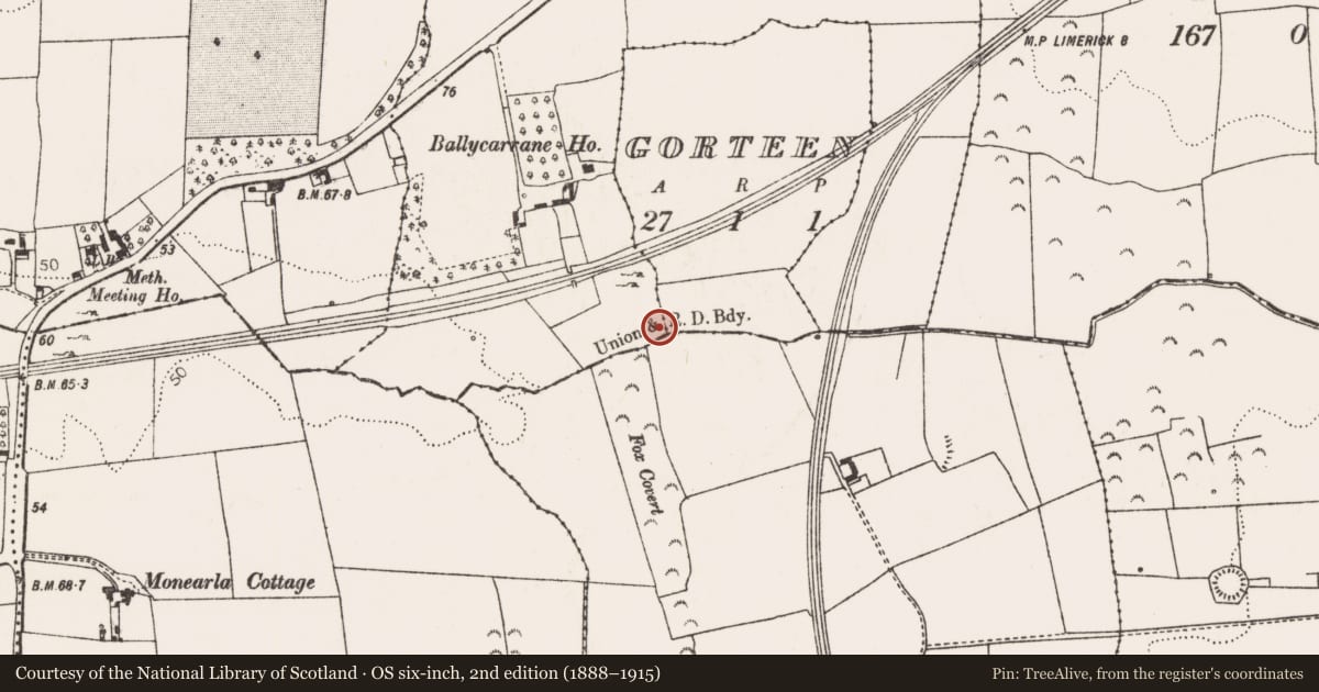Ordnance Survey six-inch map, 2nd edition (1888–1915) covering the location of Kiln - corn-drying, Gorteen, County Limerick, with a pin at the register's coordinates