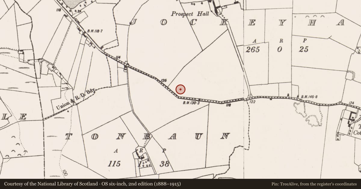 Ordnance Survey six-inch map, 2nd edition (1888–1915) covering the location of Enclosure, Jockeyhall, County Limerick, with a pin at the register's coordinates