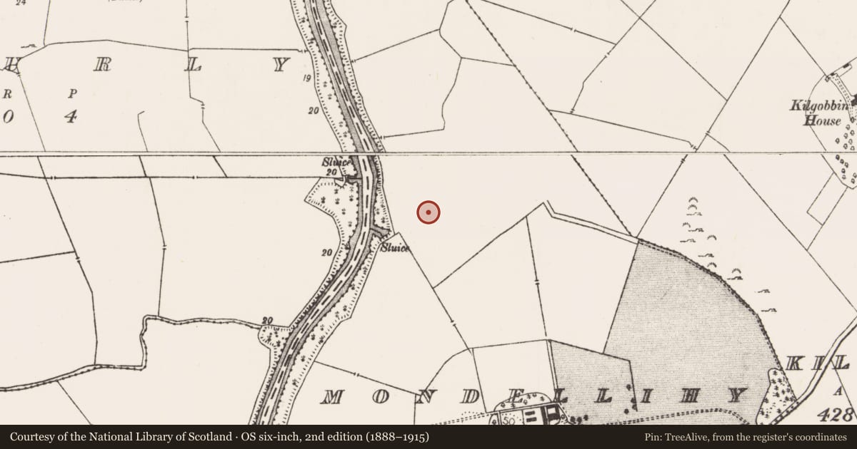 Ordnance Survey six-inch map, 2nd edition (1888–1915) covering the location of Enclosure, Mondellihy, County Limerick, with a pin at the register's coordinates
