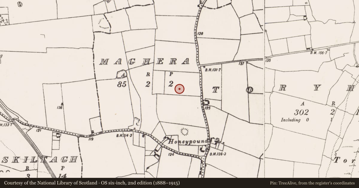 Ordnance Survey six-inch map, 2nd edition (1888–1915) covering the location of Enclosure, Maghera, County Limerick, with a pin at the register's coordinates
