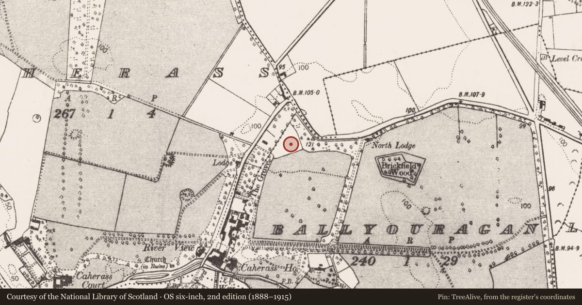 Ordnance Survey six-inch map, 2nd edition (1888–1915) covering the location of Barrow - ditch barrow, Ballyouragan, County Limerick, with a pin at the register's coordinates