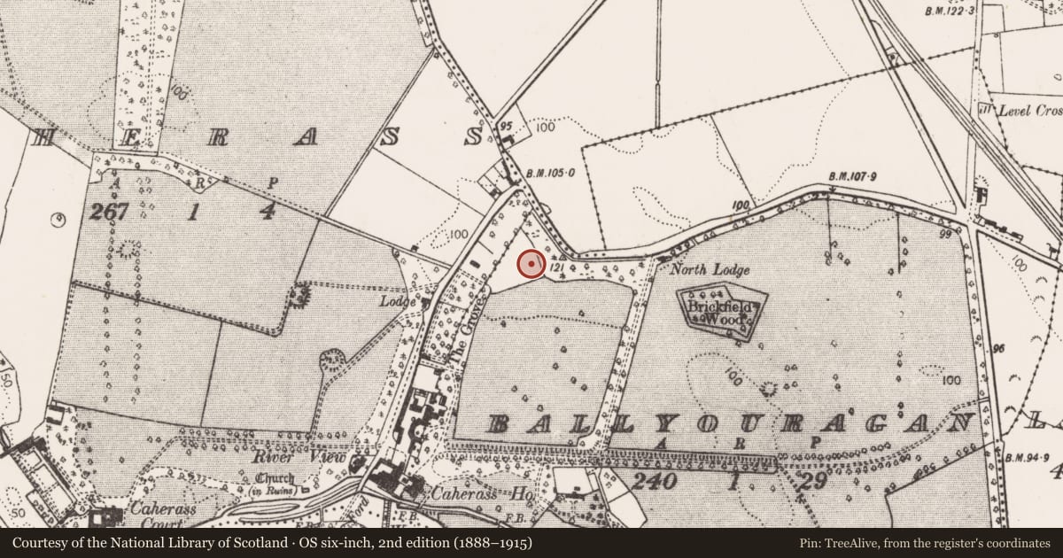 Ordnance Survey six-inch map, 2nd edition (1888–1915) covering the location of Barrow - ditch barrow, Ballyouragan, County Limerick, with a pin at the register's coordinates