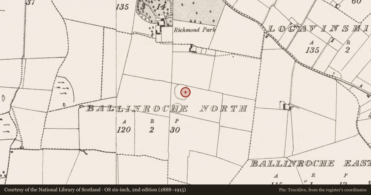Ordnance Survey six-inch map, 2nd edition (1888–1915) covering the location of Ringfort - rath, Ballinroche North, County Limerick, with a pin at the register's coordinates