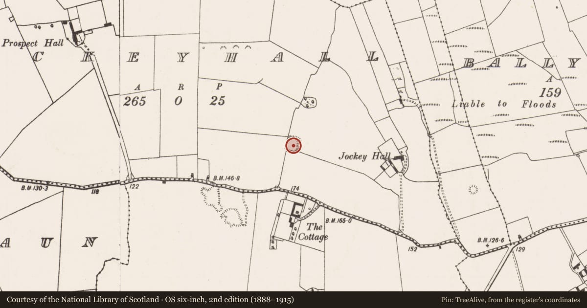 Ordnance Survey six-inch map, 2nd edition (1888–1915) covering the location of Ringfort - rath, Jockeyhall, County Limerick, with a pin at the register's coordinates