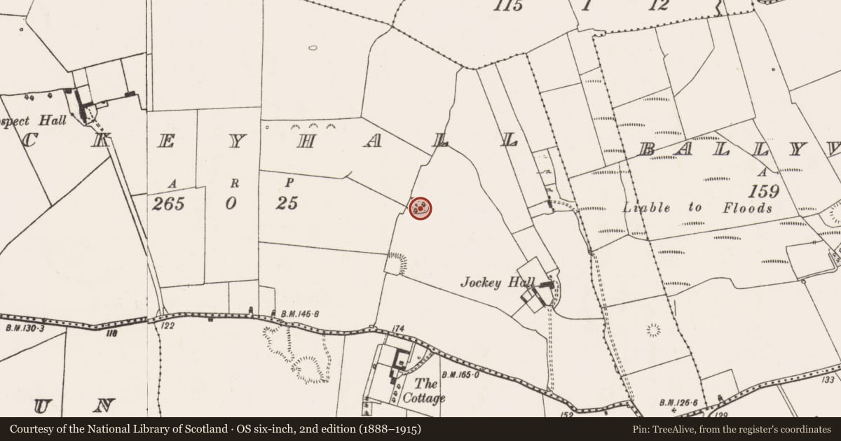 Ordnance Survey six-inch map, 2nd edition (1888–1915) covering the location of Designed landscape - tree-ring, Jockeyhall, County Limerick, with a pin at the register's coordinates