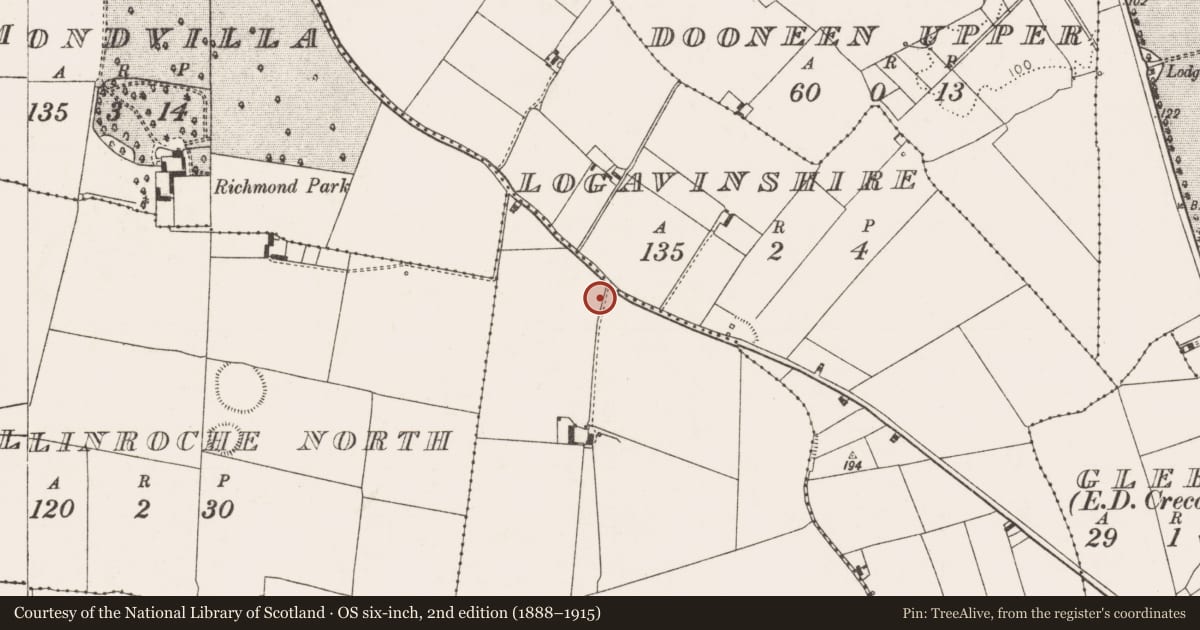 Ordnance Survey six-inch map, 2nd edition (1888–1915) covering the location of Enclosure, Ballinroche East, County Limerick, with a pin at the register's coordinates