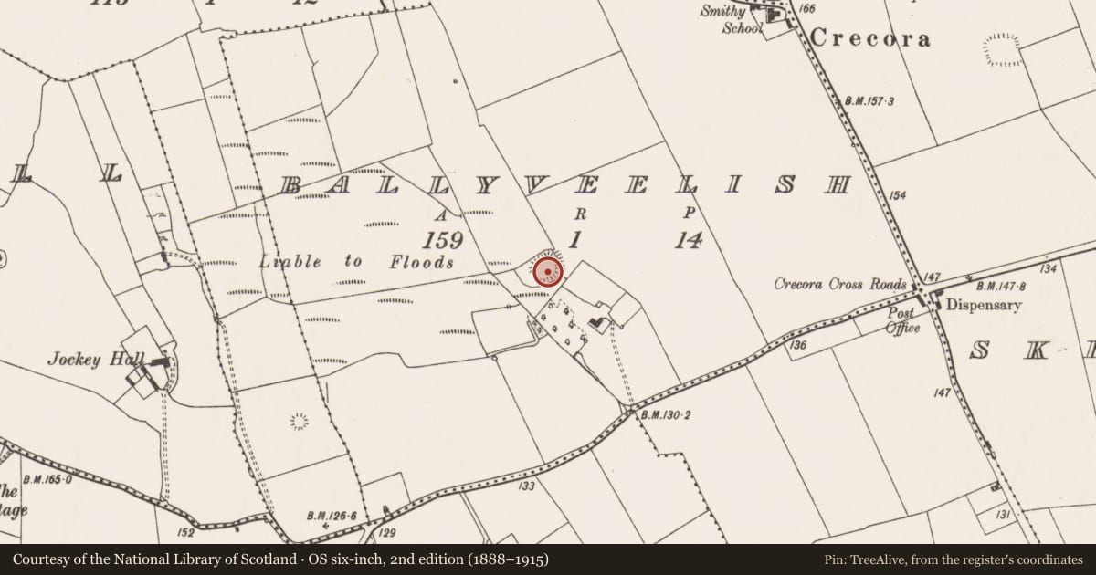 Ordnance Survey six-inch map, 2nd edition (1888–1915) covering the location of Enclosure, Ballyveelish, County Limerick, with a pin at the register's coordinates