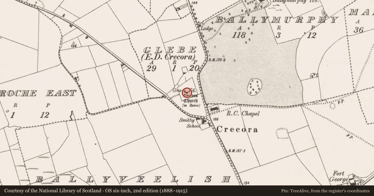 Ordnance Survey six-inch map, 2nd edition (1888–1915) covering the location of Church, Glebe, County Limerick, with a pin at the register's coordinates