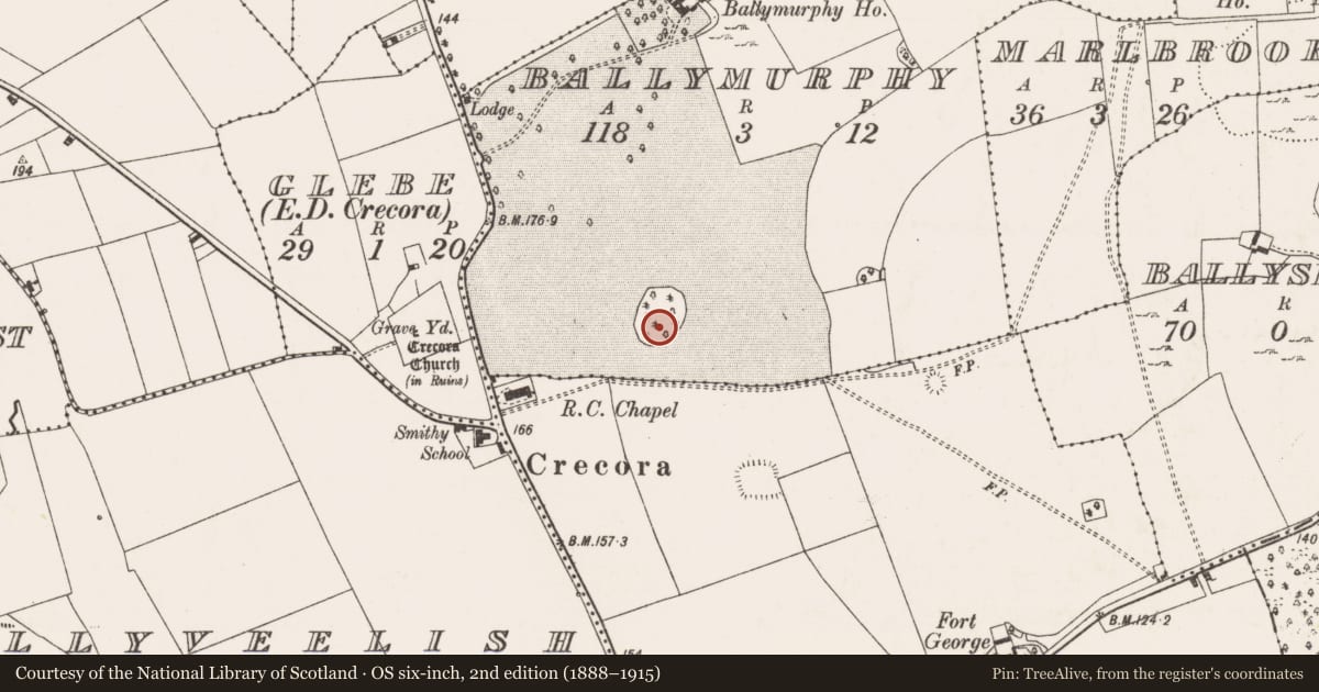 Ordnance Survey six-inch map, 2nd edition (1888–1915) covering the location of Designed landscape - tree-ring, Ballymurphy, County Limerick, with a pin at the register's coordinates