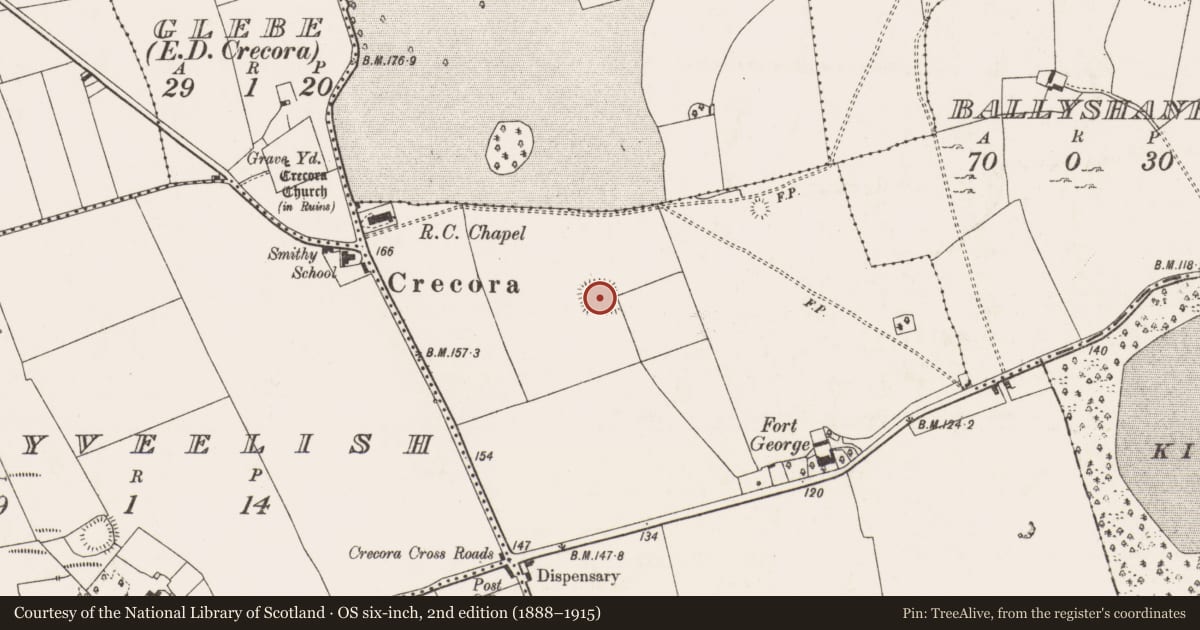 Ordnance Survey six-inch map, 2nd edition (1888–1915) covering the location of Moated site, Skehanagh, County Limerick, with a pin at the register's coordinates