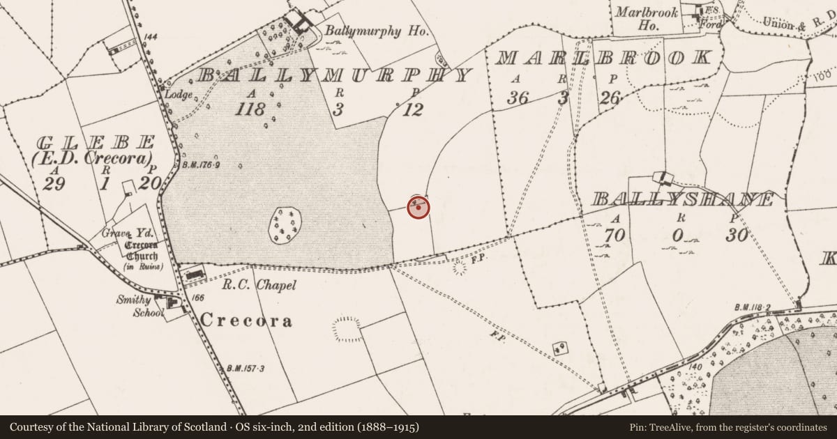 Ordnance Survey six-inch map, 2nd edition (1888–1915) covering the location of Fulacht fia, Ballymurphy, County Limerick, with a pin at the register's coordinates